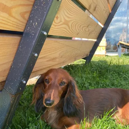 Privát Domino Vendégház Sebesér