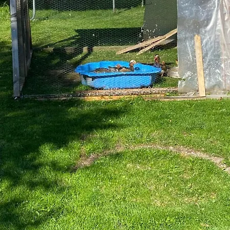 Penzión pre hostí Privat Domino Zdiar