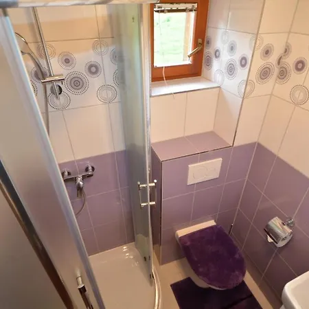 Vendégház Privát Domino Sebesér