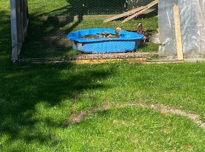 Gasthuis Privat Domino Ždiar